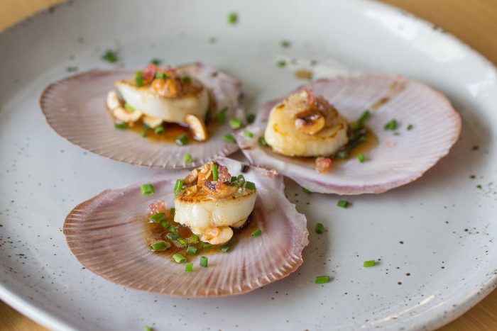 See Need Want Scallops Recipe 1