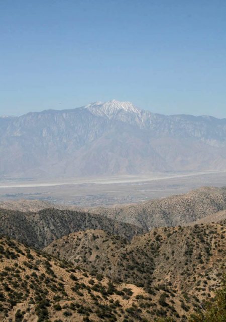 See Need Want Travel Guide To Palm Springs Joshua Tree National Park 2