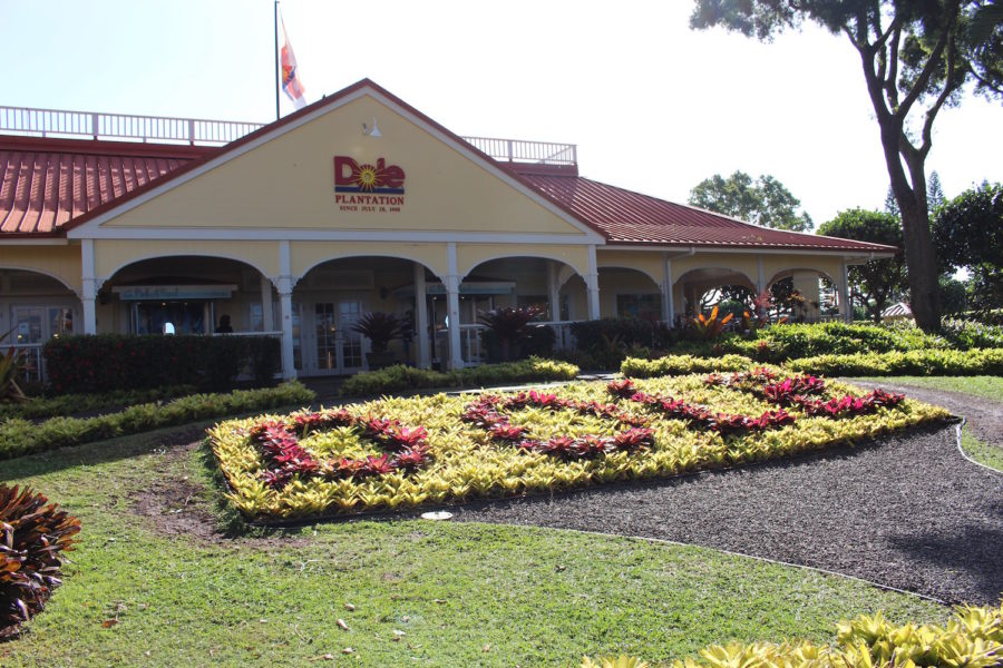 What To Do In Hawaii Travel Story Family Holiday Dole Plantation 1