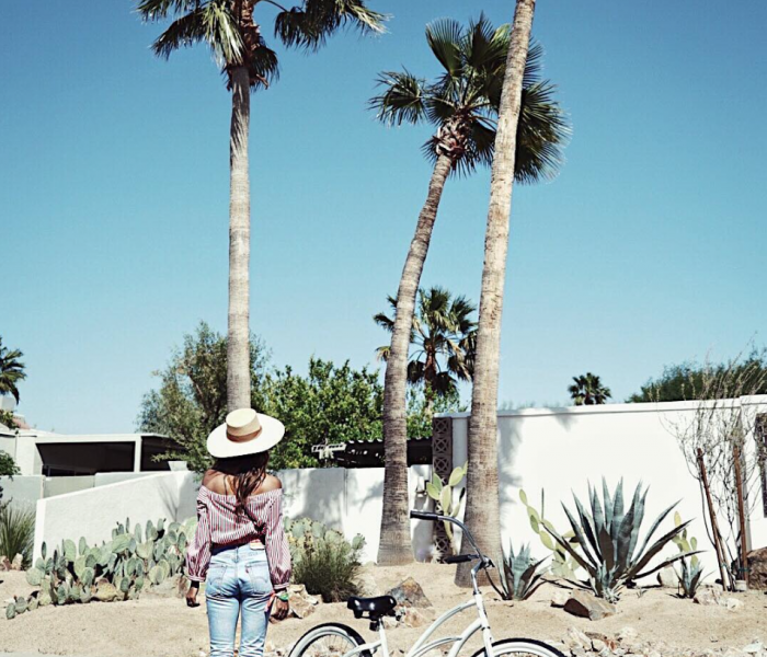 See Need Want Travel Guide To Palm Springs Bike Riding Explore