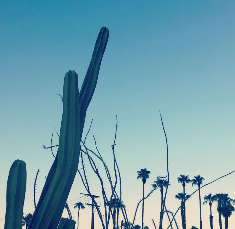 See Need Want Travel Guide To Palm Springs